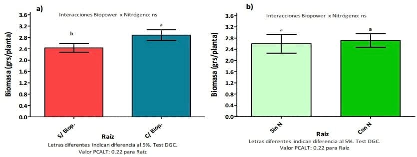Evaluación de Inoculantes y Biofertilizantes en Sorgo - Image 5