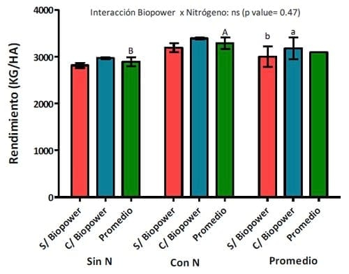Evaluación de Inoculantes y Biofertilizantes en Girasol - Image 3