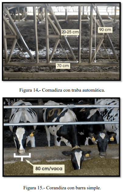 Tecnificación de fincas ganaderas con prácticas sostenibles “diseño de instalaciones para un sistema de manejo semiestabulado en fincas ganaderas de pequeños productores” - Image 14