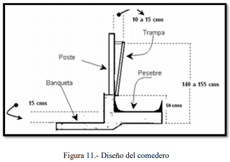 Tecnificación de fincas ganaderas con prácticas sostenibles “diseño de instalaciones para un sistema de manejo semiestabulado en fincas ganaderas de pequeños productores” - Image 11