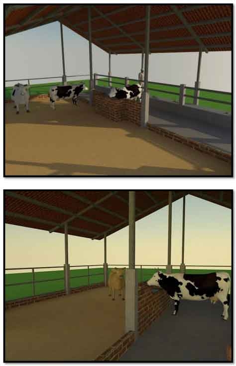 Tecnificación de fincas ganaderas con prácticas sostenibles “diseño de instalaciones para un sistema de manejo semiestabulado en fincas ganaderas de pequeños productores” - Image 30