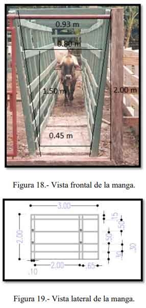 Tecnificación de fincas ganaderas con prácticas sostenibles “diseño de instalaciones para un sistema de manejo semiestabulado en fincas ganaderas de pequeños productores” - Image 17