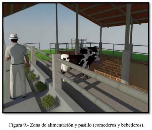 Tecnificación de fincas ganaderas con prácticas sostenibles “diseño de instalaciones para un sistema de manejo semiestabulado en fincas ganaderas de pequeños productores” - Image 9