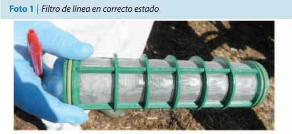 Trabajar sobre los procesos mecanizados para no resignar rentabilidad - Image 1