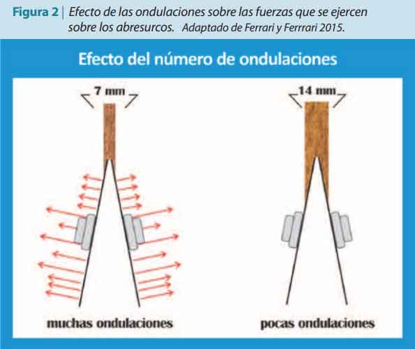 Trabajar sobre los procesos mecanizados para no resignar rentabilidad - Image 4