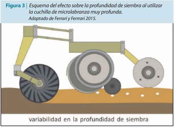Trabajar sobre los procesos mecanizados para no resignar rentabilidad - Image 5