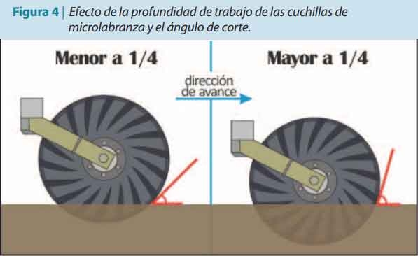 Trabajar sobre los procesos mecanizados para no resignar rentabilidad - Image 6