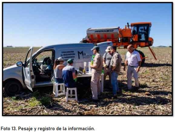 Evaluación de desempeño jacto uniport 5030 npk con fertilizantes yarabela sulfan, yarabela nitrodoble y urea - Image 13