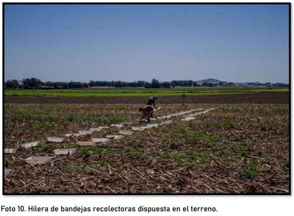 Evaluación de desempeño jacto uniport 5030 npk con fertilizantes yarabela sulfan, yarabela nitrodoble y urea - Image 10