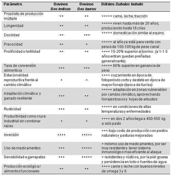 Revalorización y socializacion de las bondades ecológicas de búfalo de agua y como alternativa de ganaderia sustentable y resiliente frente al cambio climático - Image 1