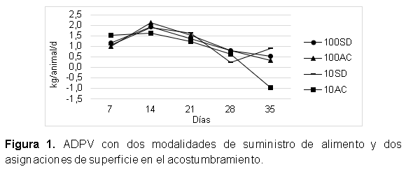 Evaluación de la asignación de superficie y método de oferta de ración durante el período de acostumbramiento en engorde intensivo - Image 2