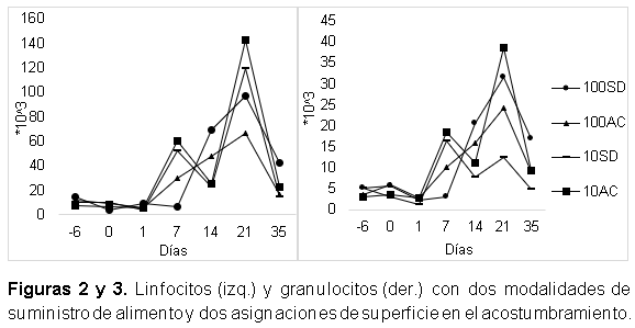 Evaluación de la asignación de superficie y método de oferta de ración durante el período de acostumbramiento en engorde intensivo - Image 3