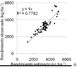 Fertilizacion nitrogenada dentro de ambientes de trigo - Image 6