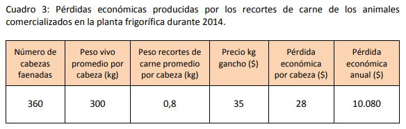 Implementar buenas prácticas mejora la rentabilidad del engorde a corral - Image 16