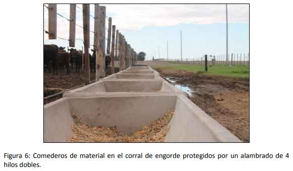 Implementar buenas prácticas mejora la rentabilidad del engorde a corral - Image 6