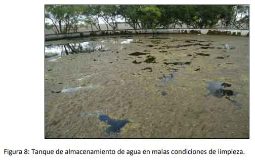 Implementar buenas prácticas mejora la rentabilidad del engorde a corral - Image 8