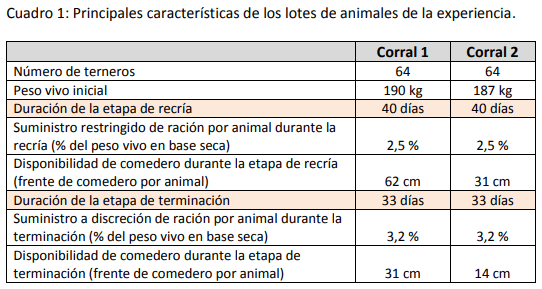 Cómo impacta el bienestar animal en el feedlot: el maltrato provoca costos ocultos desde el ingreso de los animales a la explotación hasta el momento de su faena (parte 1) - Image 11