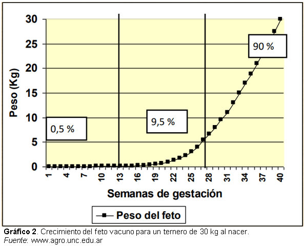 ¿Es conveniente que las vaquillonas paran gordas? - Image 2