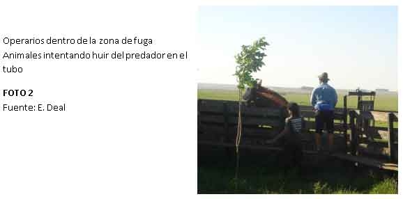 Instalaciones: Los Techos en las Instalaciones - Image 2