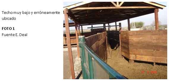 Instalaciones: Los Techos en las Instalaciones - Image 1