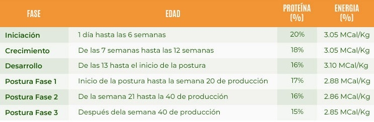 Preguntas frecuentes sobre el manejo en la Avicultura Orgánica - Image 3