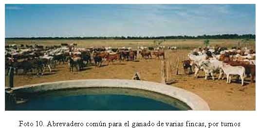 Asociatividad en la Gestión del Agua para la Ganadería - Image 11