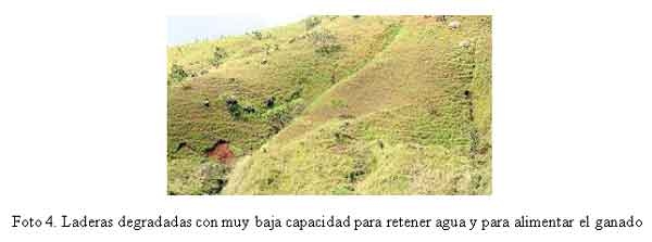 Asociatividad en la Gestión del Agua para la Ganadería - Image 4