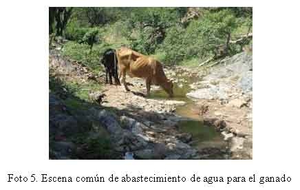 Asociatividad en la Gestión del Agua para la Ganadería - Image 5