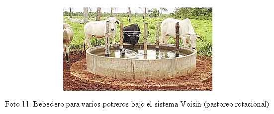 Asociatividad en la Gestión del Agua para la Ganadería - Image 12