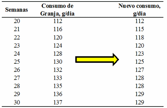 Como mejorar la fertilidad y nacimientos en Reproductoras de pollos de carne - Image 2