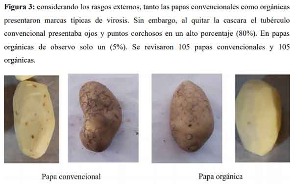 Bioproductos para el manejo sustentable de papa - Image 7