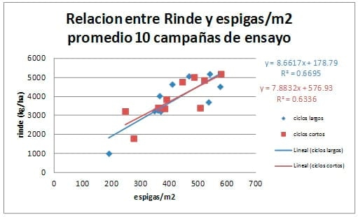 Respuesta de cultivares de trigo en secano. Campaña 2011-2012 - Image 9