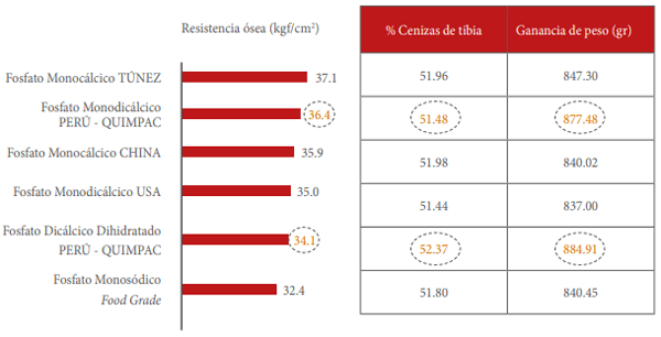 Ensayo de biodisponibilidad del fósforo en pollos de carne a los 21 días con diferentes fuentes comerciales de fosfatos inorgánicos - Image 12