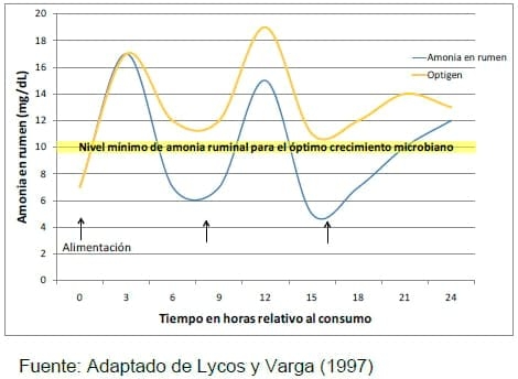 Nitrógeno no Proteico de liberación controlada (Optigen) y su importancia en la sincronización de nutrientes para una mayor producción de leche - Image 2