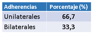 Adherencias en la túnica vaginal testicular en toros - Image 2