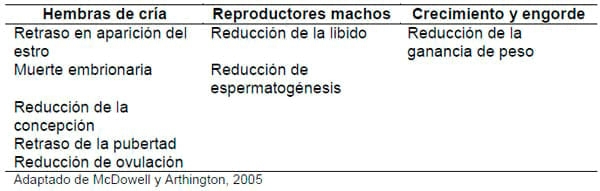 Uso del Cobre Tribásico como Fuente de Cobre en Dietas de Rumiantes - Image 1