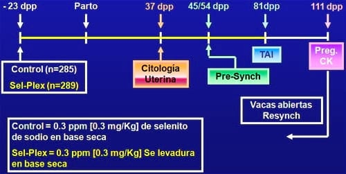 Estrategias para mejorar las respuestas termoreguladoras y reproductivas/ productivas bajo periodos estacionales de estrés por calor - Image 48