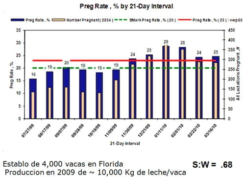 Estrategias para mejorar las respuestas termoreguladoras y reproductivas/ productivas bajo periodos estacionales de estrés por calor - Image 31