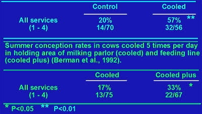 Estrategias para mejorar las respuestas termoreguladoras y reproductivas/ productivas bajo periodos estacionales de estrés por calor - Image 8