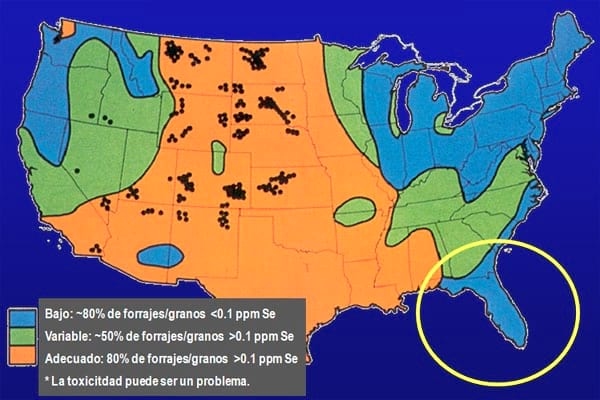 Estrategias para mejorar las respuestas termoreguladoras y reproductivas/ productivas bajo periodos estacionales de estrés por calor - Image 47