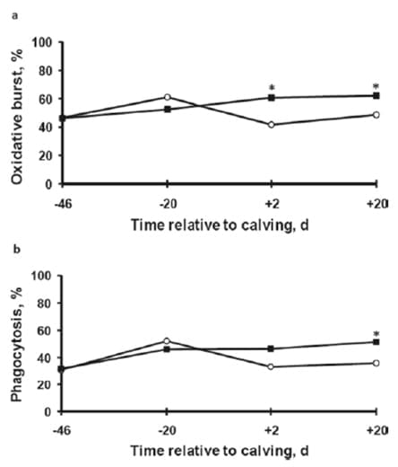 Estrategias para mejorar las respuestas termoreguladoras y reproductivas/ productivas bajo periodos estacionales de estrés por calor - Image 38