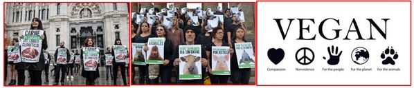¡No soy un criminal! - Image 3