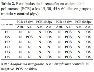Evaluación de la actividad inmunogénica de una vacuna para profilaxis de la anaplasmosis bovina - Image 2