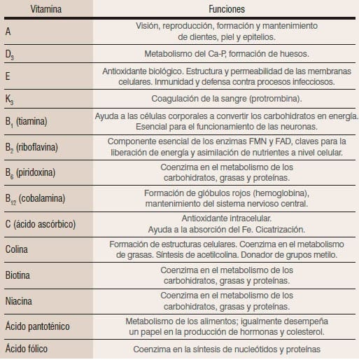 Utilización de premezclas en alimentación porcina en los cambios de fase - Image 2