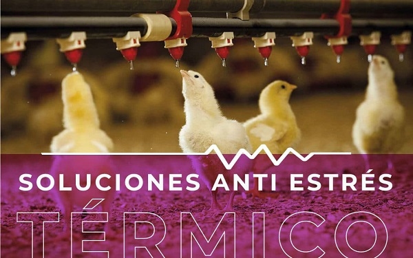 Programa anti estrés térmico de Cladan - Validado en 16 millones de aves - Image 1