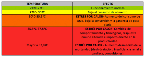 Consecuencias directas del estrés por calor en aves - Image 3