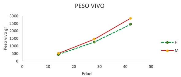 Estudio del bienestar animal mediante el analisis de pododermatitis en pollos de carne tipo broiler en Cantón Patate - Ecuador - Image 10