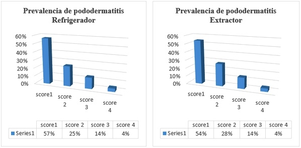 Estudio del bienestar animal mediante el analisis de pododermatitis en pollos de carne tipo broiler en Cantón Patate - Ecuador - Image 17