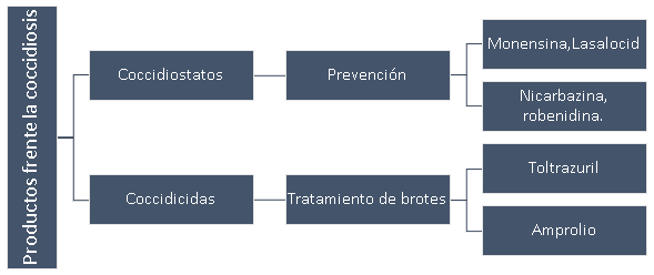 Resistencia a los coccidiostatos, nuevas estrategias de control - Image 2
