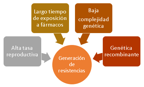Resistencia a los coccidiostatos, nuevas estrategias de control - Image 3